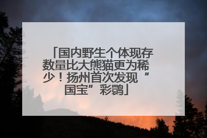 国内野生个体现存数量比大熊猫更为稀少！扬州首次发现“国宝”彩鹮