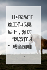 国家级非遗工作成果展上，潍坊“风筝怪才”成全国唯一！