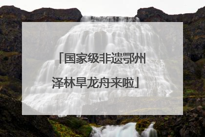 国家级非遗鄂州泽林旱龙舟来啦