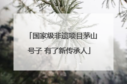 国家级非遗项目茅山号子 有了新传承人