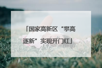 国家高新区“攀高逐新”实现开门红