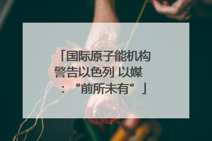 国际原子能机构警告以色列 以媒：“前所未有”