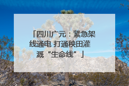 四川广元：紧急架线通电 打通秧田灌溉“生命线”