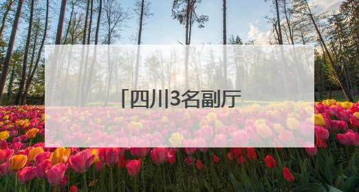 四川3名副厅级干部任新职