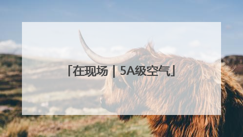 在现场｜5A级空气
