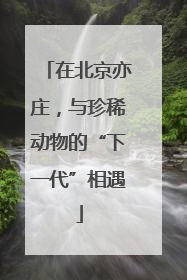 在北京亦庄，与珍稀动物的“下一代”相遇