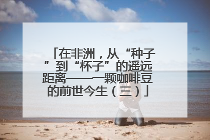在非洲，从“种子”到“杯子”的遥远距离——一颗咖啡豆的前世今生（三）