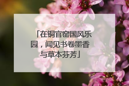在铜官窑国风乐园，闻见书卷墨香与草本芬芳