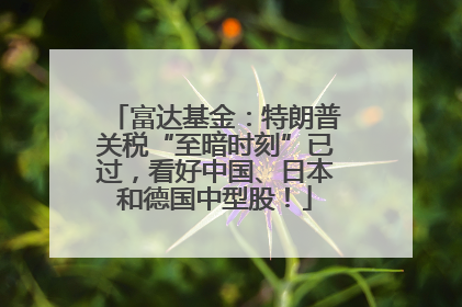 富达基金：特朗普关税“至暗时刻”已过，看好中国、日本和德国中型股！