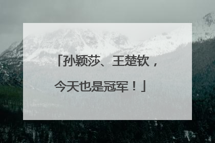 孙颖莎、王楚钦，今天也是冠军！