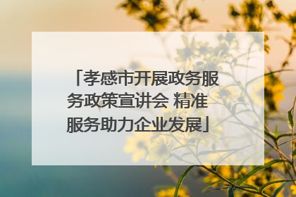 孝感市开展政务服务政策宣讲会 精准服务助力企业发展