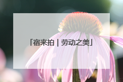 宿来拍｜劳动之美