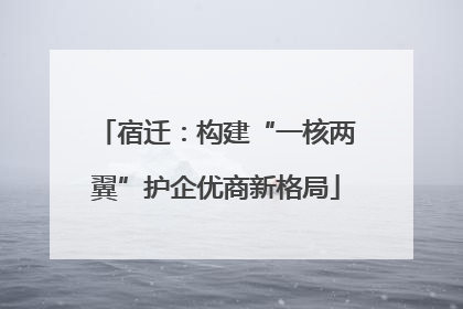 宿迁：构建“一核两翼”护企优商新格局