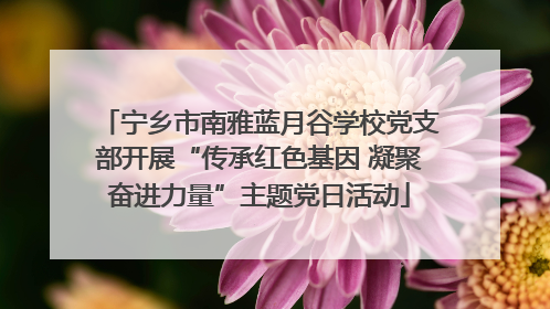 宁乡市南雅蓝月谷学校党支部开展“传承红色基因 凝聚奋进力量”主题党日活动