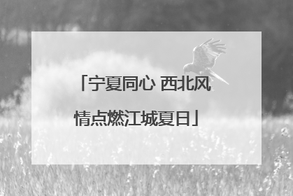 宁夏同心 西北风情点燃江城夏日