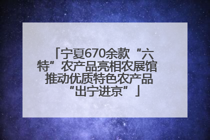 宁夏670余款“六特”农产品亮相农展馆 推动优质特色农产品“出宁进京”