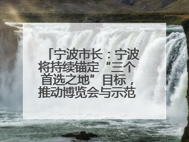 宁波市长：宁波将持续锚定“三个首选之地”目标，推动博览会与示范区互促共进