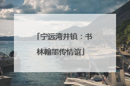 宁远湾井镇：书林翰墨传情谊