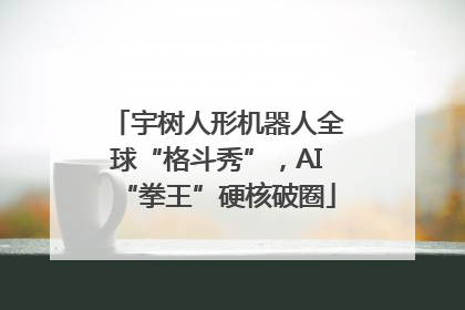 宇树人形机器人全球“格斗秀”，AI“拳王”硬核破圈