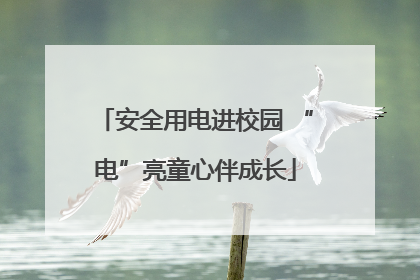 安全用电进校园 “电”亮童心伴成长