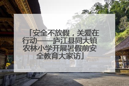 安全不放假，关爱在行动——庐江县同大镇农林小学开展暑假前安全教育大家访