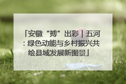 安徽“搏”出彩｜五河：绿色动能与乡村振兴共绘县域发展新图景