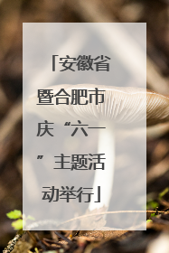 安徽省暨合肥市庆“六一”主题活动举行