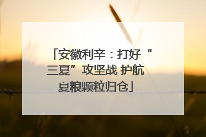 安徽利辛：打好“三夏”攻坚战 护航夏粮颗粒归仓