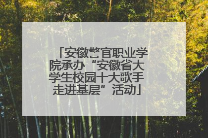 安徽警官职业学院承办“安徽省大学生校园十大歌手走进基层”活动