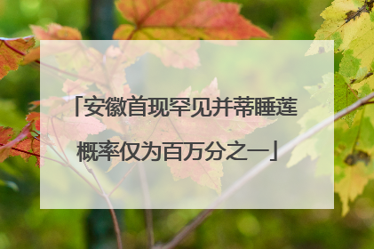 安徽首现罕见并蒂睡莲 概率仅为百万分之一