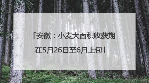 安徽：小麦大面积收获期在5月26日至6月上旬