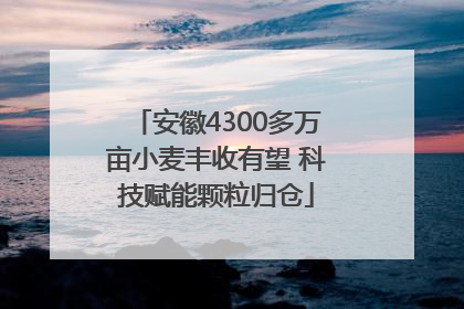 安徽4300多万亩小麦丰收有望 科技赋能颗粒归仓