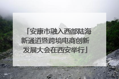 安康市融入西部陆海新通道暨跨境电商创新发展大会在西安举行