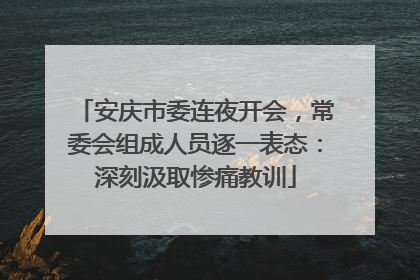 安庆市委连夜开会，常委会组成人员逐一表态：深刻汲取惨痛教训