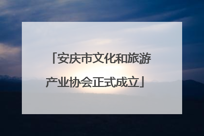 安庆市文化和旅游产业协会正式成立