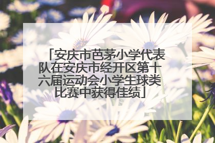 安庆市芭茅小学代表队在安庆市经开区第十六届运动会小学生球类比赛中获得佳绩