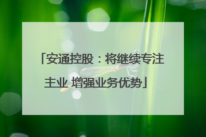 安通控股：将继续专注主业 增强业务优势