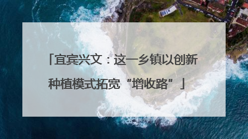 宜宾兴文：这一乡镇以创新种植模式拓宽“增收路”