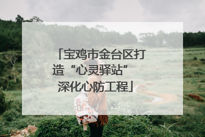 宝鸡市金台区打造“心灵驿站” 深化心防工程