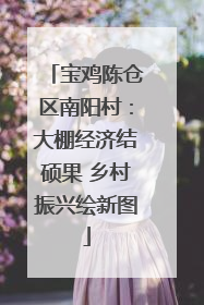 宝鸡陈仓区南阳村：大棚经济结硕果 乡村振兴绘新图