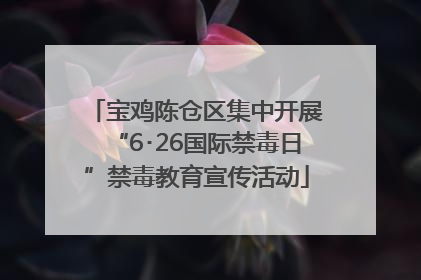 宝鸡陈仓区集中开展“6･26国际禁毒日”禁毒教育宣传活动