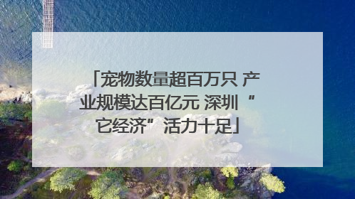 宠物数量超百万只 产业规模达百亿元 深圳“它经济”活力十足