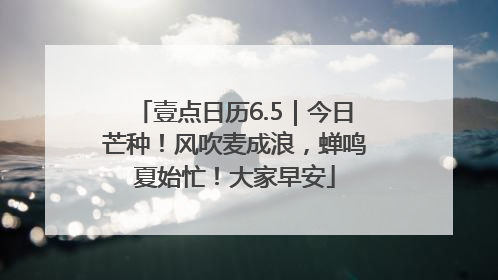壹点日历6.5｜今日芒种！风吹麦成浪，蝉鸣夏始忙！大家早安