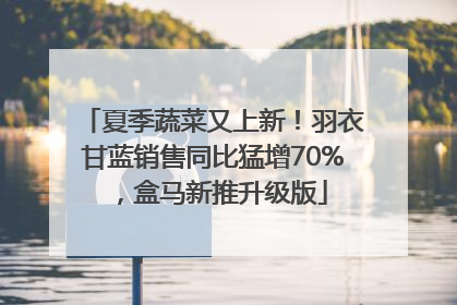 夏季蔬菜又上新！羽衣甘蓝销售同比猛增70%，盒马新推升级版