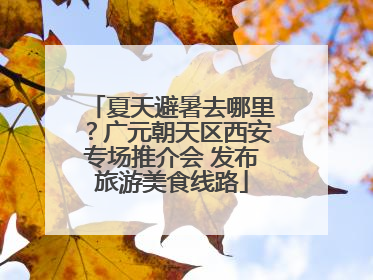 夏天避暑去哪里？广元朝天区西安专场推介会 发布旅游美食线路