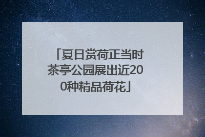 夏日赏荷正当时 茶亭公园展出近200种精品荷花