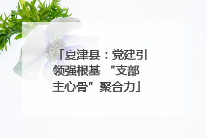 夏津县：党建引领强根基 “支部主心骨”聚合力