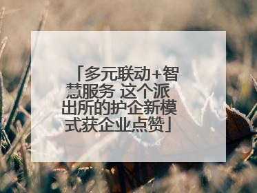 多元联动+智慧服务 这个派出所的护企新模式获企业点赞