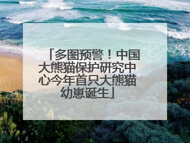 多图预警！中国大熊猫保护研究中心今年首只大熊猫幼崽诞生