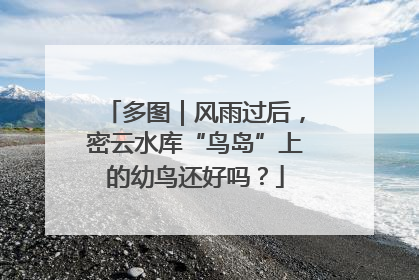 多图｜风雨过后，密云水库“鸟岛”上的幼鸟还好吗？